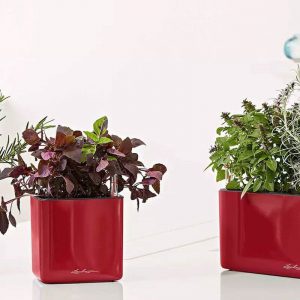 CUBE Glossy Triple 
