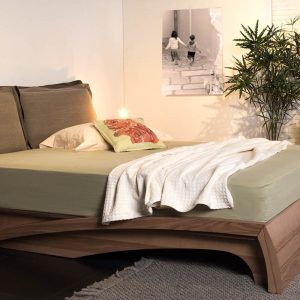 Ηλέκτρα Pillow Ελιά Naturale – Σετ 